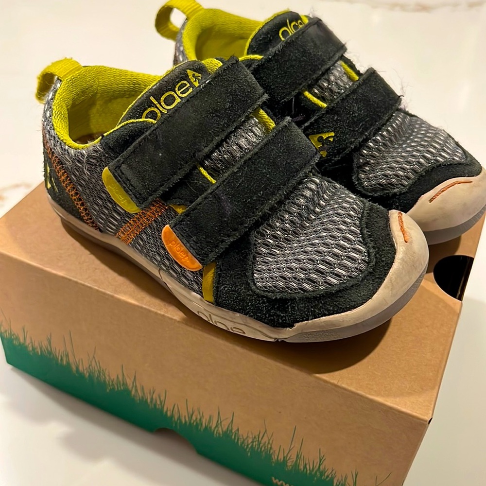 Plae “Ty” shoes